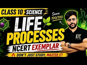 Life Processes NCERT Exemplar Solutions Class 10 Science | All Important Questions & Answers