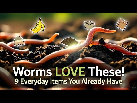 What Worms Really Want: 9 Simple Materials That Build Living Soil