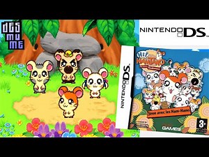 Hi! Hamtaro : Little Hamsters Big Adventures - Ham-Ham Challenge (2008) Nintendo DS Gameplay in HD