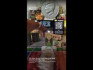 Coin Collection for Sale! Couch Collectibles