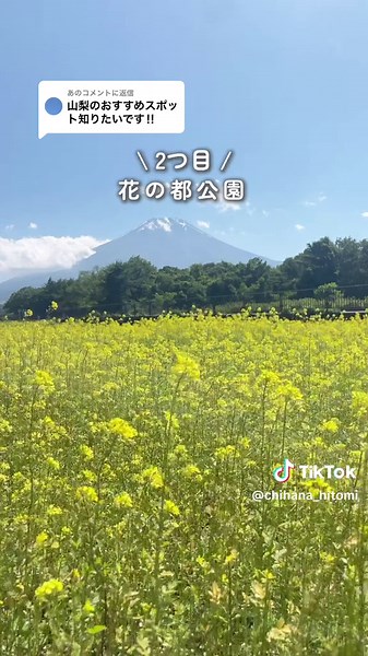 山梨の絶景スポット7選を無料で楽しむ