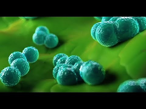 Using Blue Light To Kill A Superbug Bacteria