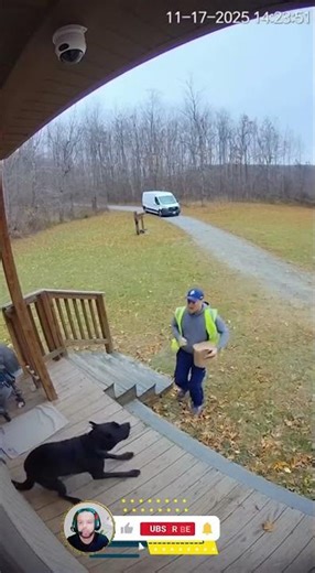 Hilarious Dog Charges Delivery Driver 😂 | Caught on Camera!