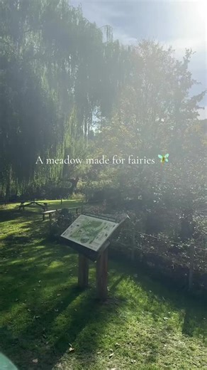 Calling all whimsical girlies ✨ Welcome to the cozy, nature, crafty and whimsical side of TikTok 🫶🏼 • • • #whimsical #fairytok #fairycore #naturelover #softlifestyle