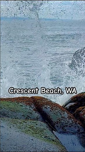 Exploring Crescent Beach, WA #travel #camping #pnw #rvlife #vacation #gooutside