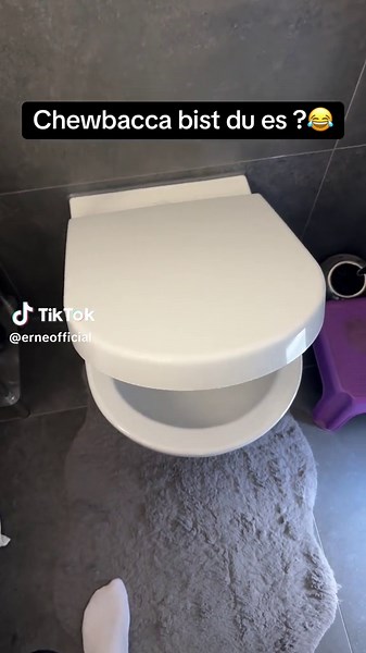 Chewbacca Humor: Die lustige Toilette-Interaktion