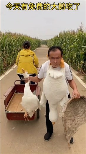 Kwai Funny tiktok: Funny Videos 2025 Chinese Funny Video 🤣