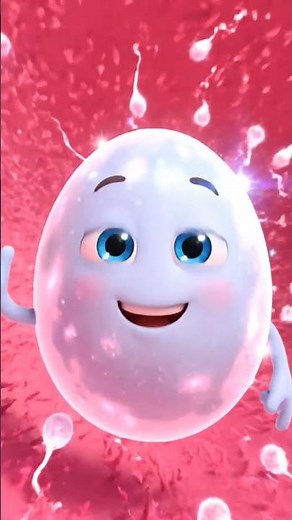 Inside the Ovary: Ovulation Process in 3D