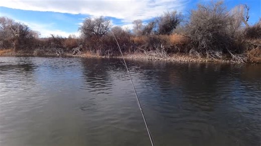 Here’s a quick clip from a video on dry dropper vs straight nymphing that I’ll be finishing up today. Look for it on YouTube channel tomorrow as long as today’s wind doesn’t blow our broadband radio away 💨 tacticalflyfisher.com • • • • • #flyfishing #trout #catchandrelease #troutfishing #troutbum #flyfishingnation #flyfish #flugfiske #fishinglife #dryfly #onthefly #fishingtrip #flyfishingaddict #tightlines #fishingdaily #instafishing #flyfishingphotography #riverfishing #tacticalflyfisher #mode