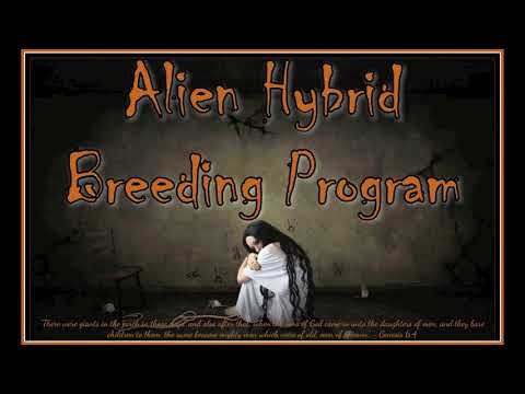 Alien Hybrid Breeding Program
