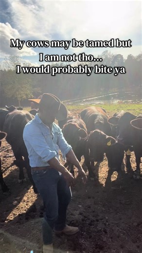 I take a chunk right outta ya #cowboy #rancho #cows #trip #blackcowboy