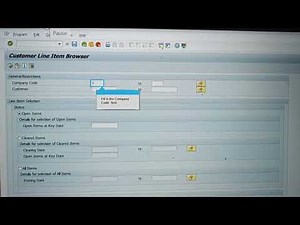 SAP FICO FBL5N SCREEN T-CODE FBL5N