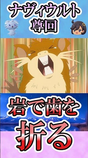 アニポケ144話 ナヴィのメタモン、とんでもない鬼畜技でラッタを撃退