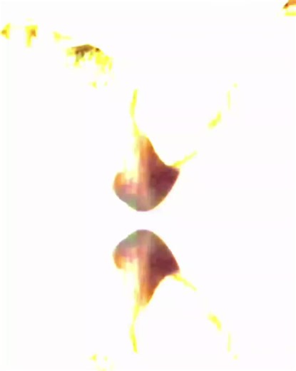 Copy nhi krna apna dmg lgaya ha meine 🥲🔪 . . . . . Tt uncle ma zeyada se zeyada Kya hi mangtii hu ap se srf veiws betii ka rishta thori manga ha Jo Kajol k aba ban k nkhry kr rhy ho 🥲🤌🏻 #zumar_editz #fypシ゚viral #creatorsearchinsights #unfrezzmyaccount #dontunderreviewmyvideo