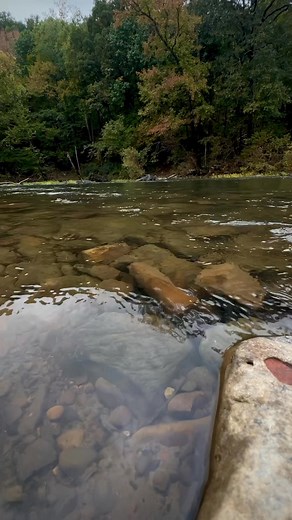 Where the Mulberry slows its song and the world grows quiet again. Take a deep breath, you’ve found the calm side of adventure. 🌿 #MulberryRiverMoments #campinginthefall | Mulberry River Outdoor Adventures