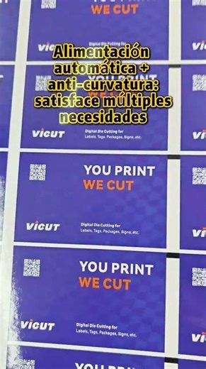 Mais que impressão, uma recriação artística! A ViPrint-A3 desafia o impossível