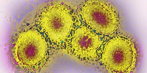 Yes, the Common Cold Is Caused by Coronaviruses—Here’s What You Should Know