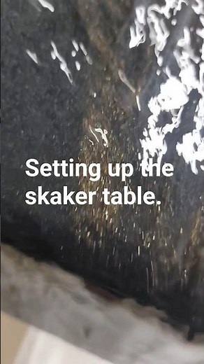 Shaker table test with fine gold material #recovery #technique