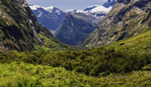 windows11自带媒体播放器播放杜比视界