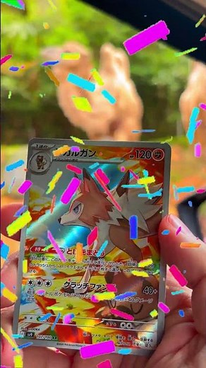 Catching Pokemon in a zoo!
