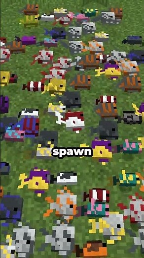 The rarest fish in Minecraft