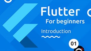 Flutter基础教程 Flutter Tutorial for Beginners by The Net Ninja