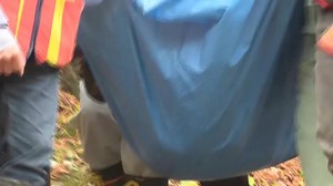 Bear tears through empty hot spring inn in northern Japan