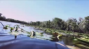 Creature | trailer #1 US (2011)