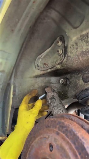 Why Is There Oil on My Suspension?