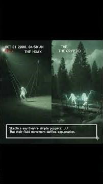 Did They Capture an Alien? 👽 The Unexplained Fresno Nightcrawlers Footage!