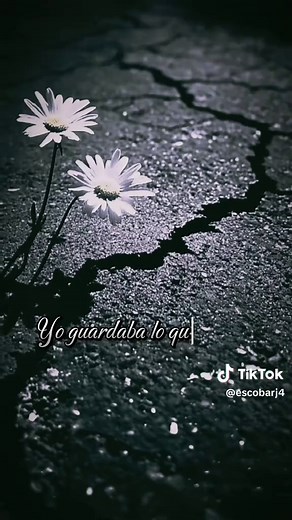 Canciones de nostalgia: NO FUE, NI SERÁ