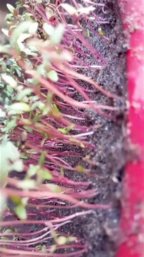 মিজানুর রহমান আজহারী হুজুরের মোটিভেশন ওয়াজ