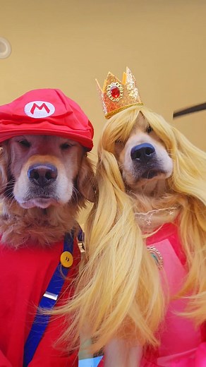 Choose Your Mario Kart Character