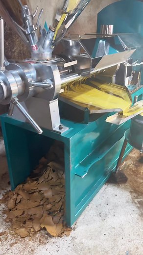 The oil press that can press 300kg in an hour has been installed, and the equipment is in normal operation. #oilpressmachine #oilpress | Oilpress machine