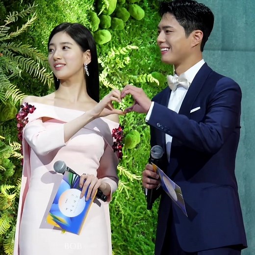 Baesuzy and Park Bogum: Are They a Married Couple?