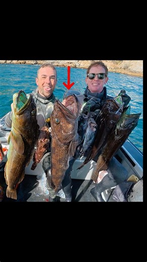 Slaying a 34” Lingcod in Monterey, CA