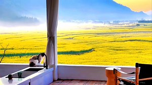 a peaceful view for a quiet mind. | NatureHolic Y