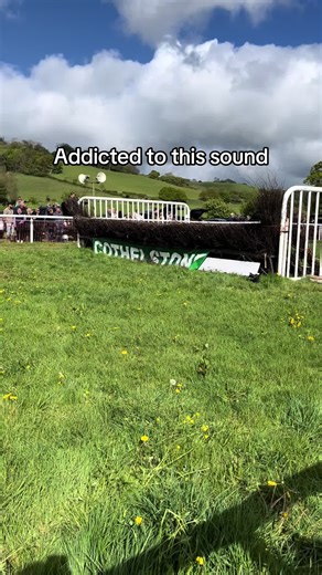 The Best Sounds of Horse Racing at Cheltenham Festival