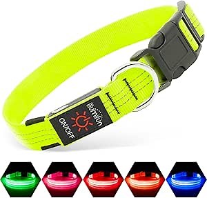 Illumifun LED Dog Collar, Rechargeable Light Up Collars, Reflective Safety Collar Light for Nighttime Walking Camping (GreenⅢ, Medium)