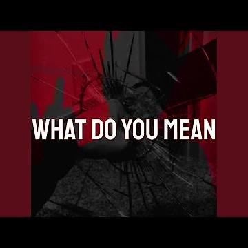 What Do You Mean (Cover)