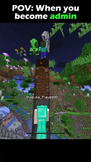 When you become admin #minecraft #shorts #usa