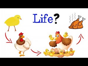 🌿 What is Life? 🦁 [Fast and Easy] | BIOLOGY |
