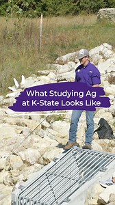 🌱From research labs to rural fields, studying agriculture means making a difference one seed at a time. 🚜💜 Learn more about the College of Agriculture or join the AgCat family at kstate.ag/futureagcats. | K-State College of Agriculture