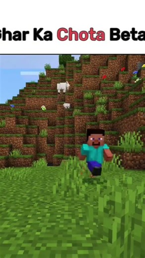 sorry alok Bhaiya 🥲😅 #mimecraft #minecraftreel #reel #short