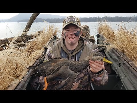 SUSQUEHANNA RIVER PA DUCK HUNTING 2019