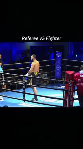 Referee VS Fighter #referee #ufc #tiktok #froyoupage #mma | referees vs fighter