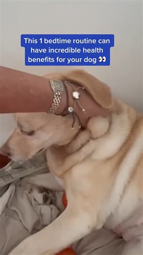 Who knew the health benefits of a little rub! #dogmassage #doghacks #dogbonding #dogparents #doglove | PetLab Co.