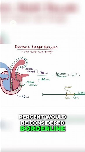 Understanding Ejection Fraction Heart Health Explained