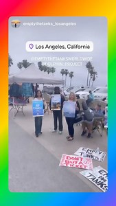 Dolphin Project on Reels | Facebook