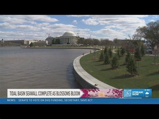 Tidal Basin seawall completed | Procon Consulting